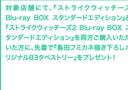 対象店舗にて『ストライクウィッチーズ　Blu-ray BOX スタンダードエディション』&『ストライクウィッチーズ2 Blu-ray BOX スタンダードエディション』の両方をご購入されたお客様に、先着で『島田フミカネ描き下ろし オリジナルB3タペストリー』をプレゼント！